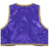 Manyakai Boys Arabian Prince Tops Waistcoat Vest Kids Fairy Tale Dramas Stage Performance Fancy Dress Ups Purple 16 Years view 2