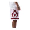 Mitchell & Ness NBA Reload Swingman Chicago Bulls Mens White Shorts view 2