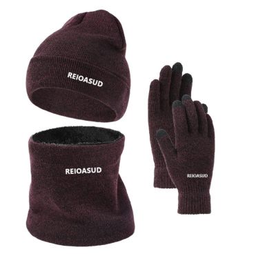 2025 3 Pieces Winter Beanie Hat, Scarf and Touchscreen Gloves Set for Men and Women,3 Pieces Winter Ski Warm Set (2)