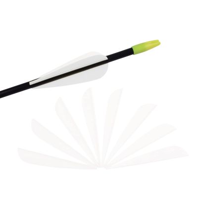 3 Inch Arrow Fletching Vanes Plastic Feather for DIY Archery Hunting Targeting Arrows(Pack of 50)