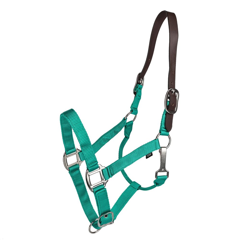 Gatsby Nylon Breakaway Halter Cob Turquoise