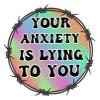 Your Anxiety is Lying to You | Great Gift Idea|Decal Sticker|2 Pack| 5 Inch Stickers|FBMS11730 view 2