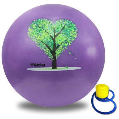 Pregnancy Ball, Yoga Ball Chair & Birthing Ball, Maximum Stability - Exercise Ball Chair, Swiss Stability Ball Sitting Ball for Desk, Office, Home