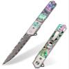 VALKNUT Damascus Folding Pocket Knife with Clip, Abalone Handle Damascus Steel Blade Knife for Men and Women, EDC Knife for Outdoor Camping, Collection and Gifts view 1