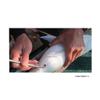 Taka Sangyo T-194 Air Release Rod, 9.8 inches (25 cm) view 4