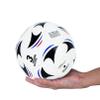 Aoneky Size 3 10-Pack Adult Soccer Ball - Eco-Friendly 2.5mm PVC Leather, Durable Machine-Stitched Design, Ball Pump Included view 4