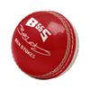 Gunn & Moore GM Skills Ball, BS55 Ben Stokes, Junior Size 70 Grams, Red/White view 2