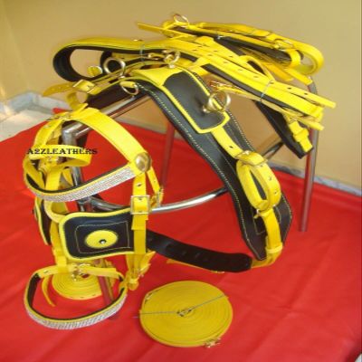 AMAZING HORSE STUFF Yellow and Black Nylon Horse Driving Harness (Cob)