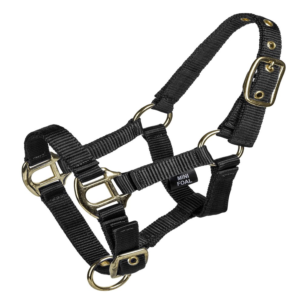 Gatsby 2-ply Nylon Mini Halter L Black