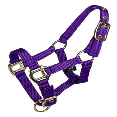 Gatsby 2-ply Nylon Mini Halter L Purple