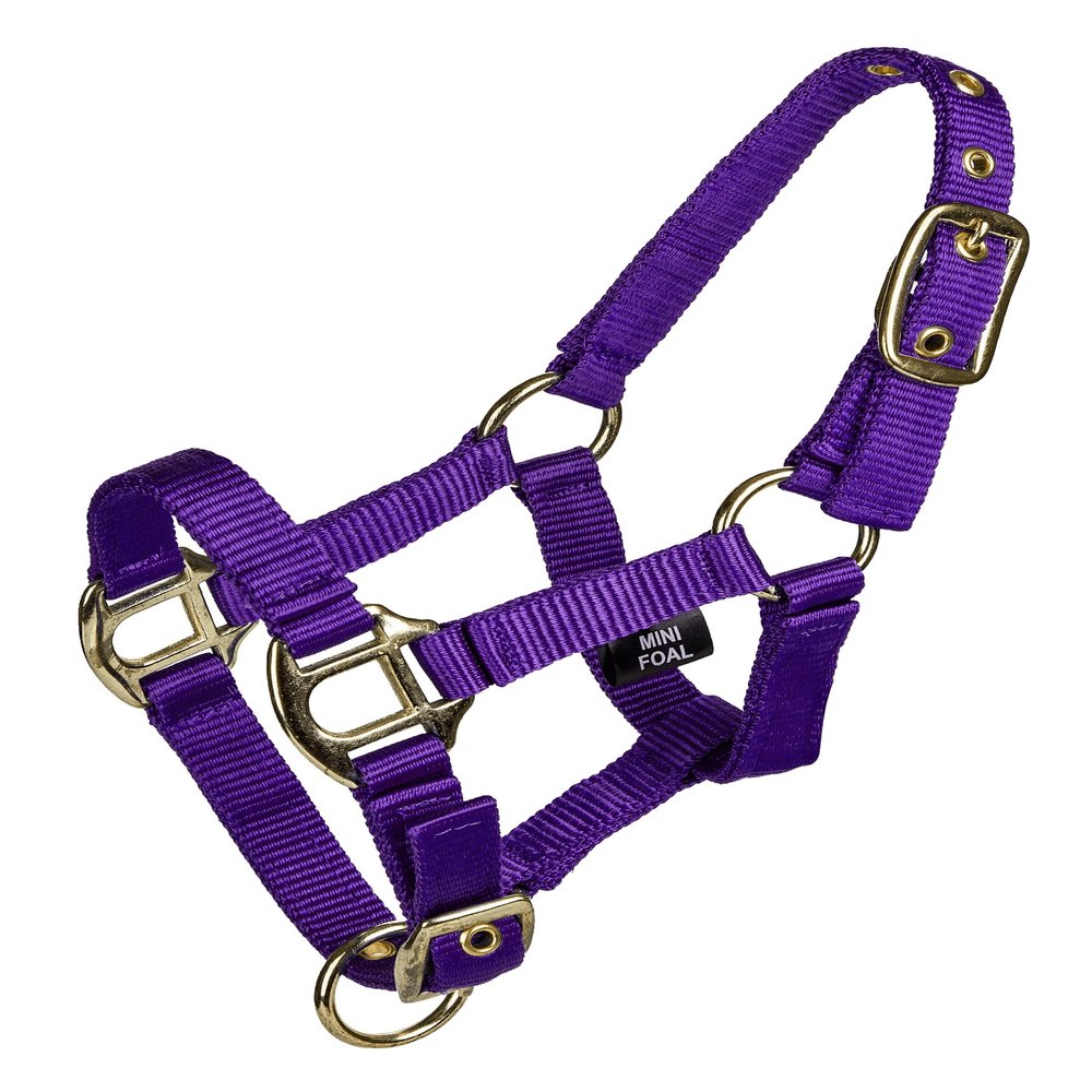 Gatsby 2-ply Nylon Mini Halter L Purple