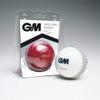 Gunn & Moore GM Cricket Skills Ball, BS55 Ben Stokes, Senior Size, Red/White view 1