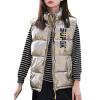 Child Kids Toddler Baby Boys Girls Sleeveless Letter Winter Coats Hooded Jacket Vest Boy Jackets (Rose Gold, 5-6 Years) view 1