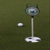 SYNLawn Precision Putt Golf Putting Green - Outdoor-Indoor Putting Mat with Natural Grass Feel & True Ball Roll - Deluxe Golf Training Mat for Year-Round Putting Practice - ( 3 x 8) view 3