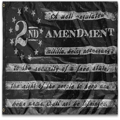 2ND Stars & Stripes Tactical American Flag 3 ft by 5 ft Designed in USA 3x5 Patriotic Decor Wall Art Dorm Room Man Cave