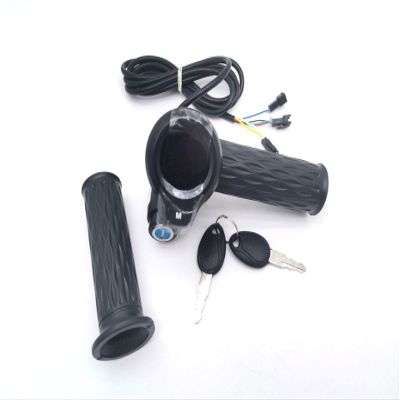 Twist Throttle with Lock+Display 36V 48V Speed Voltage Indicator Odometer Electric Bike Bicycle Scooter MTB Tricycle Part (36V)