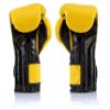 Fairtex Muay Thai Boxing Gloves BGV9 - Heavy Hitter Mexican Style Training & Sparring Gloves for Kick Boxing MMA K1 (Yellow/Black/Black Piping, 10 oz) view 2