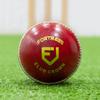 FORTRESS Club Crown Cricket Balls - MCC White/Red/Pink Ball Colours (Women's, Red (Pack of 6)) view 2