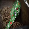 Country Brook Design - Farm Life Y'all Polyester Webbing (1 1/2 Inch, 10 Yards) view 2