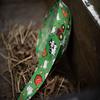 Country Brook Design - Farm Life Y'all Photo Quality Polyester (1 Inch, 5 Yards) view 2