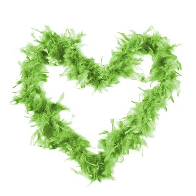 1st Choice Feather Boa Colorful Chandelle Feather Boa 66ft Women Turkey Feather Boas for Party, Costume (Green)