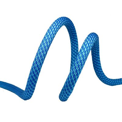 ARMBURY Blizzard | 9.8mm Dynamic Rock Climbing Rope | (Dry Core and Sheath) | UIAA Certified, Heavy Duty Rope, Sports (9.8MM x 70M, Blue, Dry Pro)