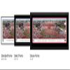 Texas Tech Football, Storm-the-Field - Double Mat, Deluxe Framed Picture by Blakeway Panoramas (44"W x 18"H) view 4