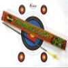 Black Eagle Zombie Slayer Crested Hunting Arrows with 2 Inch Vanes  .003 Straightness, 500 Spine, 32 Inch Shaft  6 Pack with Archery Target view 1