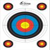Black Eagle Zombie Slayer Crested Hunting Arrows with 2 Inch Vanes  .003 Straightness, 500 Spine, 32 Inch Shaft  6 Pack with Archery Target view 3