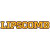 AT01 - Lipscomb Bisons Basic Block Tank Top - Small - White view 2