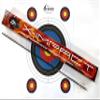 Black Eagle X-Impact Crested Hunting Arrows  2" Vanes, 0.001 Straightness, 350 Spine, 32" Shaft  Series 15 Nano Diameter, 6 Pack with Target  Sold by North Mountain Supply view 1