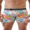 MIKKEL HOLLINS Mens Boxer Briefs With Fly - Donut Design - Ultra Soft Tencel Boxers For Men - Moisture Wicking - Anti Chafing Men's Underwear (Donut)(X-Large) view 2