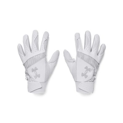 Under Armour Men's Yard 9 Baseball Gloves, (100) White / / Halo Gray, X-Large