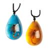 Acxico 2 pcs Insect Stone Natural Scorpions Inclusion Genuine Amber Baltic Pendant Necklace view 1