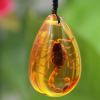 Acxico 2 pcs Insect Stone Natural Scorpions Inclusion Genuine Amber Baltic Pendant Necklace view 4