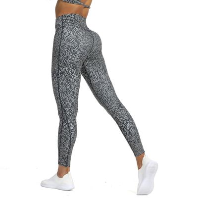 Aoxjox High Waisted Workout Leggings for Women Trinity Yoga Pants 26.5" (Blueberry Dot Print, Small)