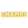 PinMart's Champs Chenille Lapel Pin - 10 Pack view 1