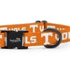 Tennessee Volunteers Collars and Leashes | Officially Licensed | Adjustable-Fits All Pets! (Small Collar) view 3