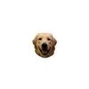 Golden Retriever Sticker view 1