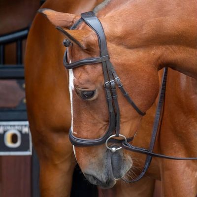 Shires Velociti Ergonomic Cavesson (Extra Full, Havana)