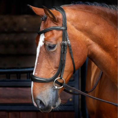 Shires Velociti Ergonomic Cavesson (Cob, Black)