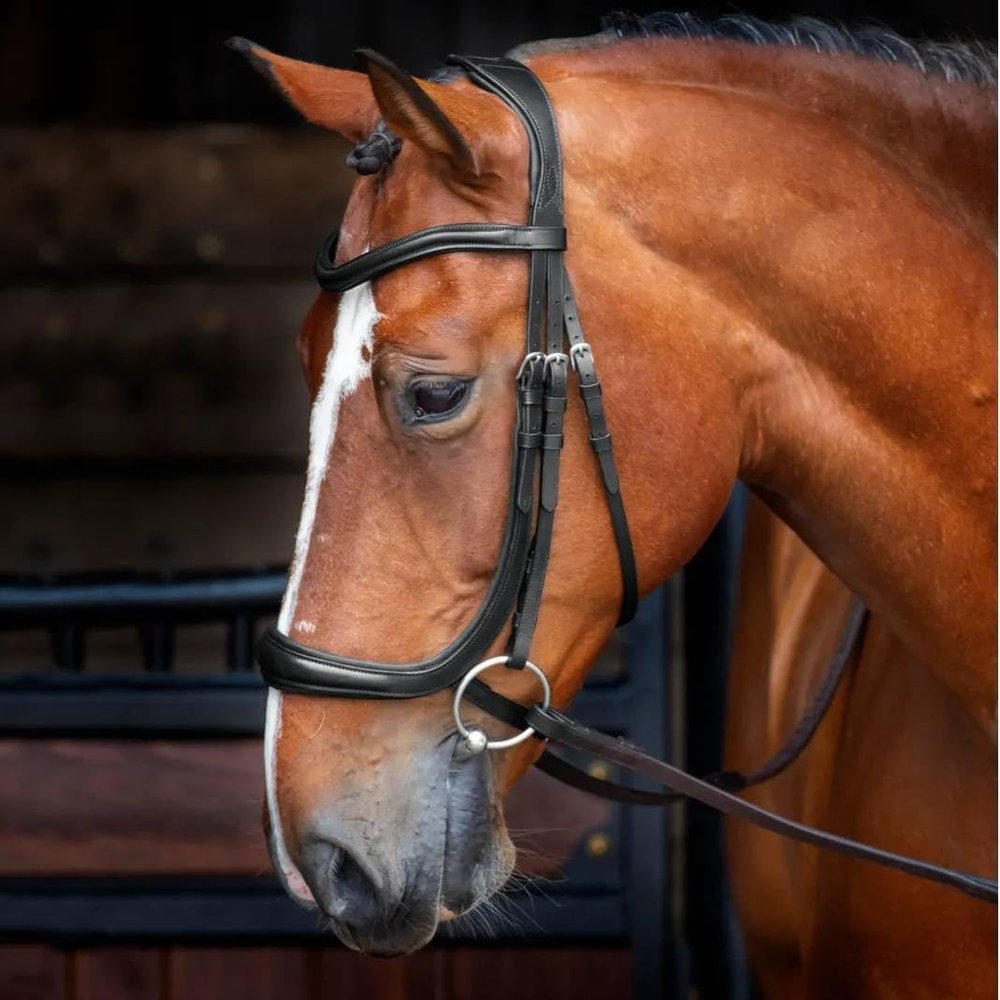 Shires Velociti Ergonomic Cavesson (Cob, Black)