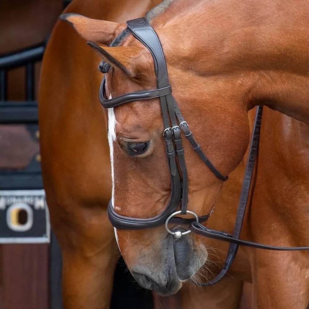 Shires Velociti Ergonomic Cavesson (Cob, Havana)