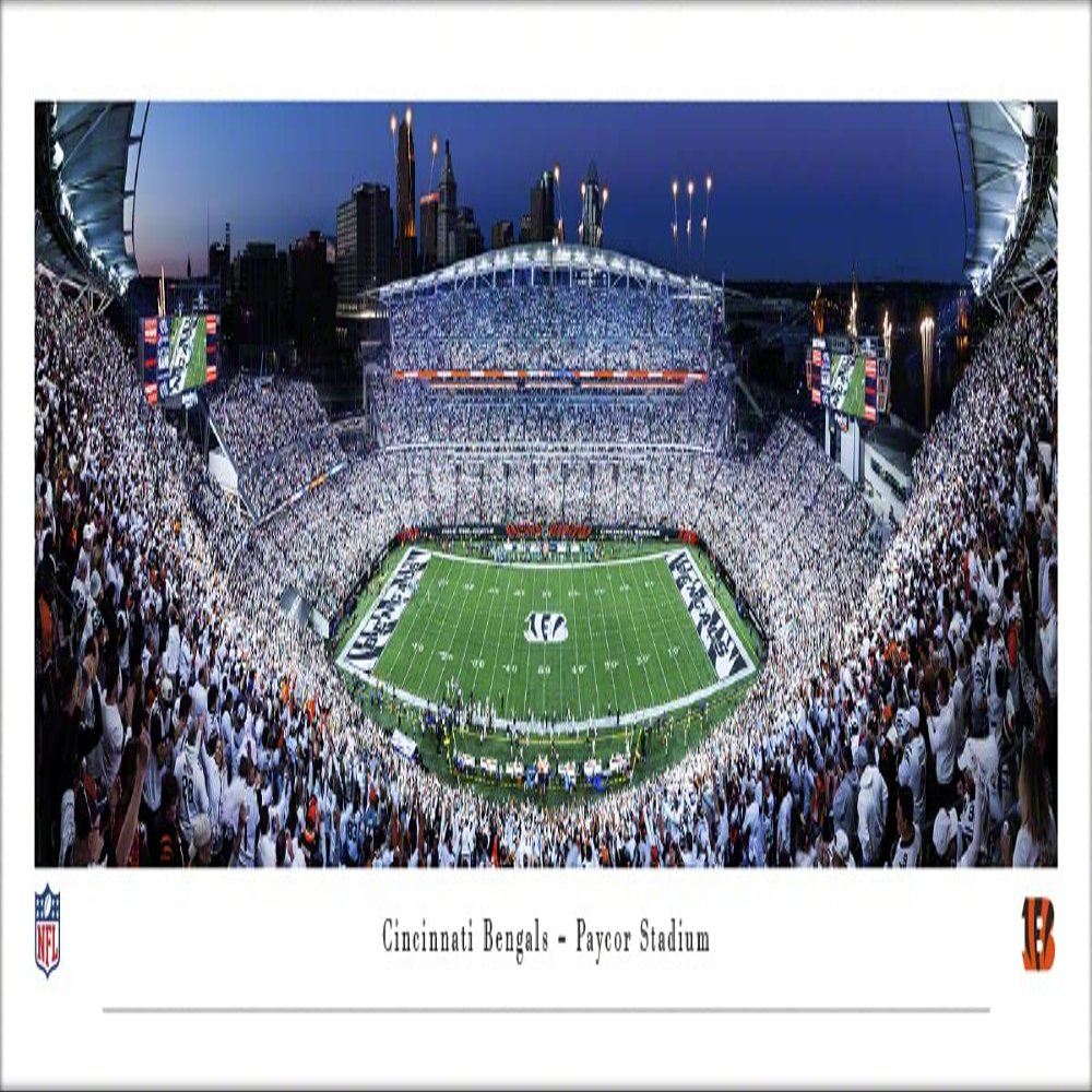 Cincinnati Bengals White Out Football - Unframed 40 x 13.5 Poster by Blakeway Panoramas