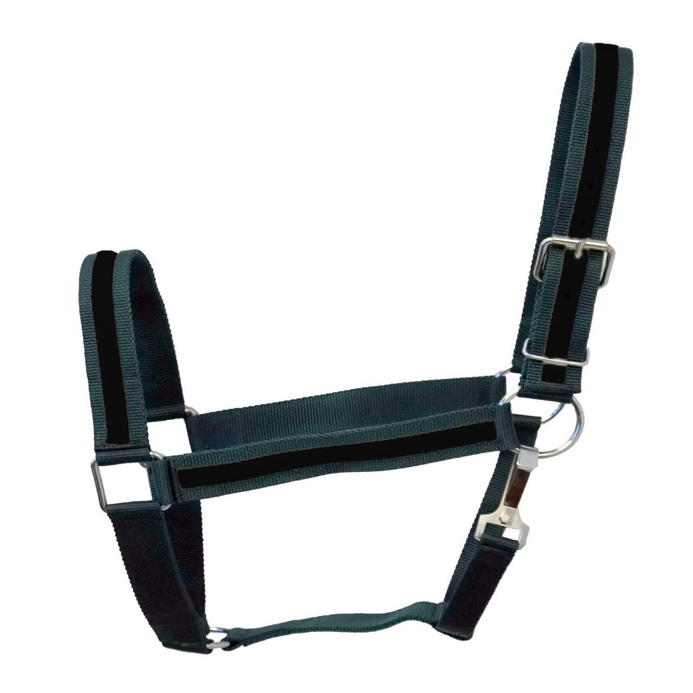 Equitem Draft Horse Size 2 Ply Nylon Halter with Stripe Accent (Dark Green with Black)