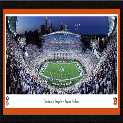 Cincinnati Bengals White Out Football - 42x15.5-inch Single Mat, Select Framed Picture by Blakeway Panoramas