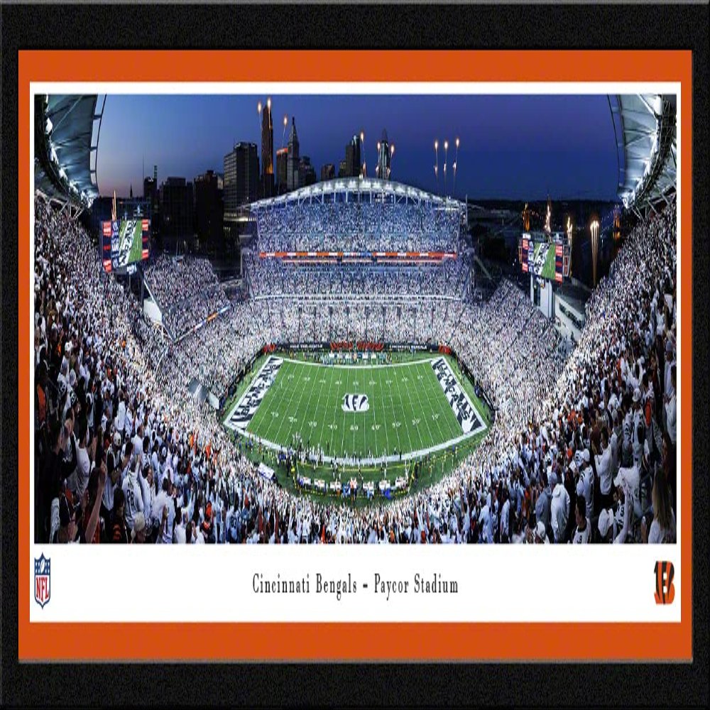 Cincinnati Bengals White Out Football - 42x15.5-inch Single Mat, Select Framed Picture by Blakeway Panoramas