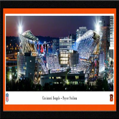 Cincinnati Bengals, Paycor Stadium - 42x15.5-inch Single Mat, Select Framed Picture by Blakeway Panoramas