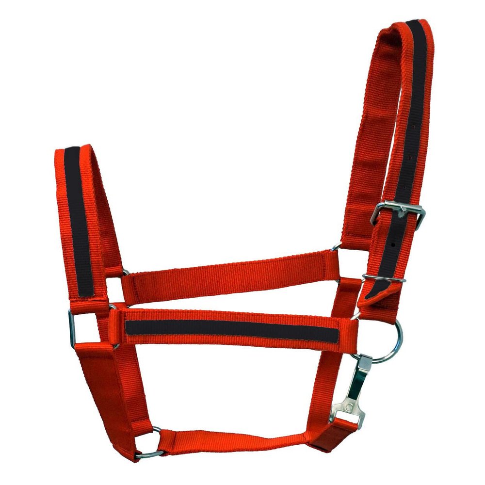 Equitem Draft Horse Size 2 Ply Nylon Halter with Stripe Accent (Red with Black)