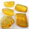 24.97 Grams 4 Natural Copal Amber Focal Bead Gemstone Gem Stone EBS8214 view 2